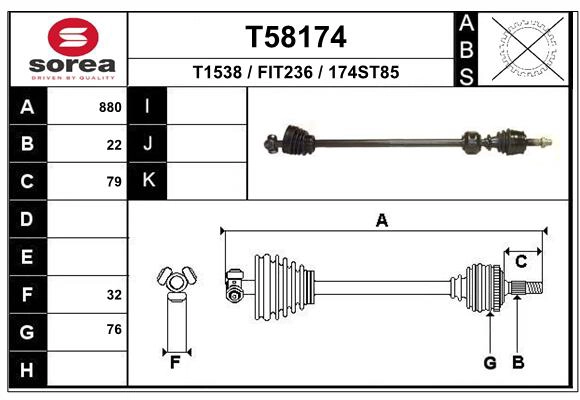 T58174