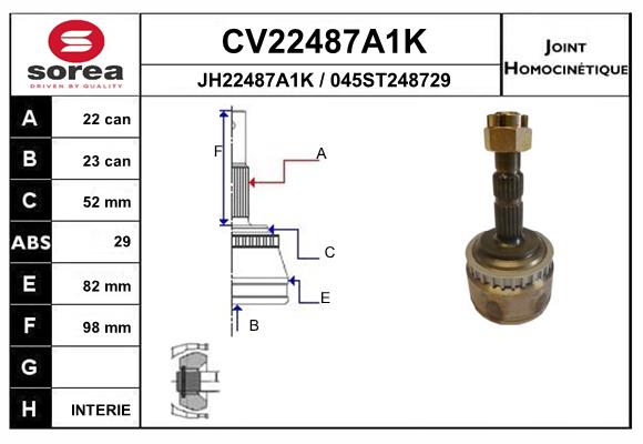 CV22487A1K