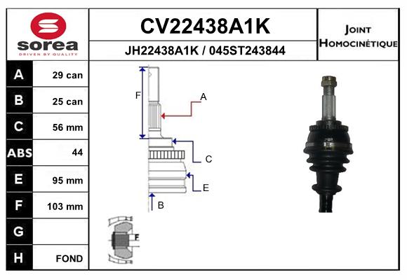 CV22438A1K