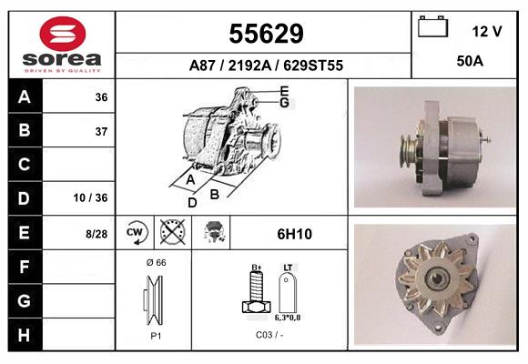 55629
