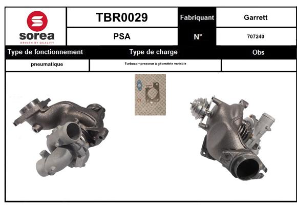 TBR0029