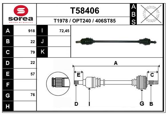 T58406