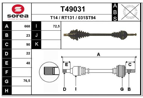 T49031