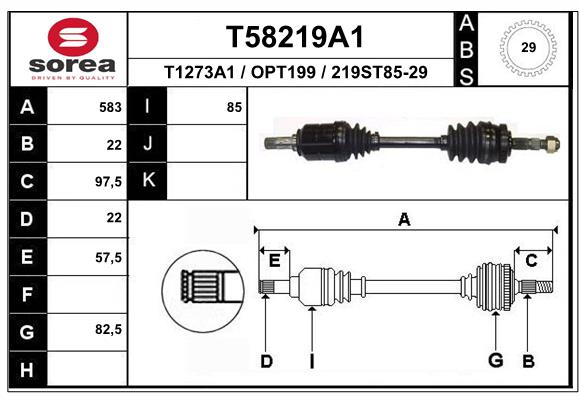 T58219A1