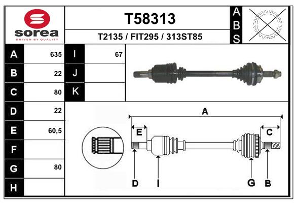 T58313
