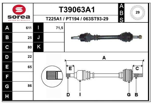 T39063A1