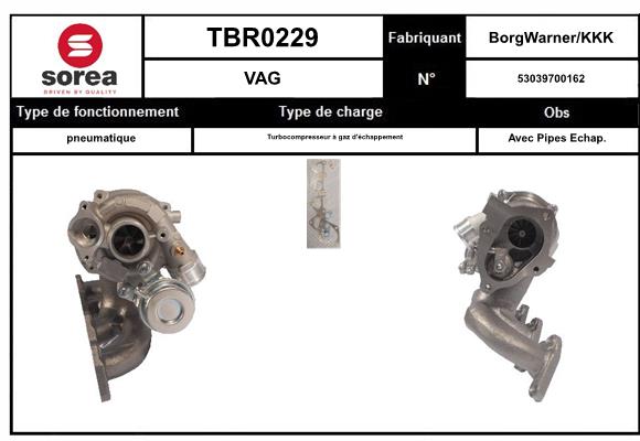TBR0229