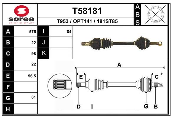 T58181