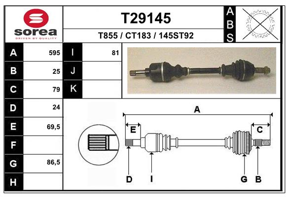 T29145