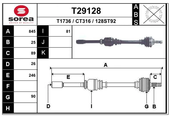 T29128