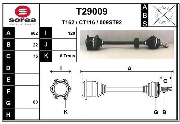 T29009
