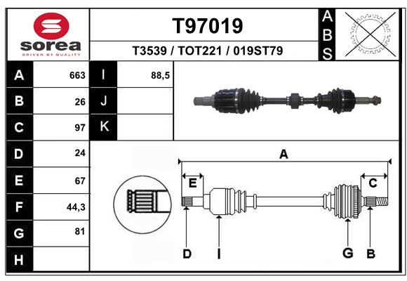 T97019