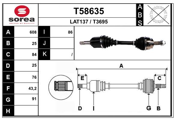T58635