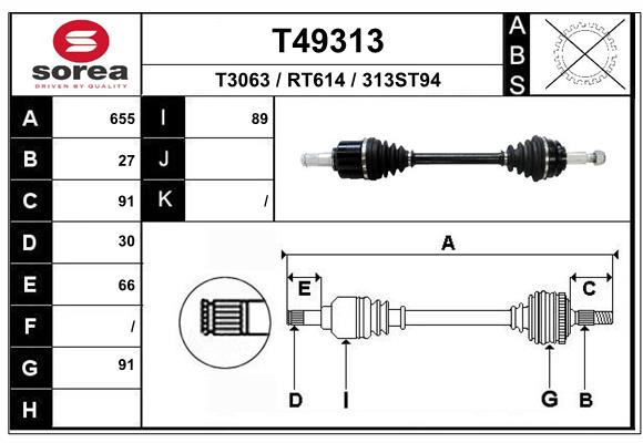 T49313