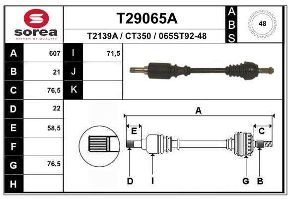 T29065A
