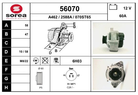 56070