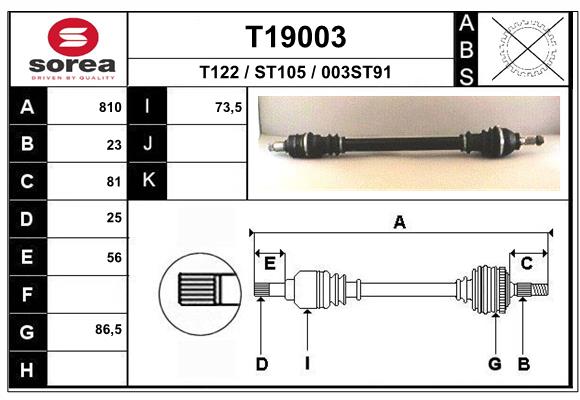 T19003