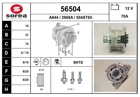 56504