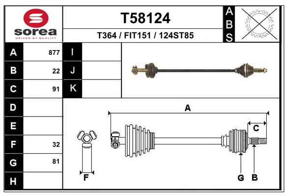 T58124