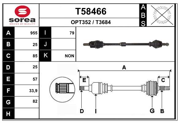 T58466
