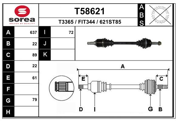 T58621