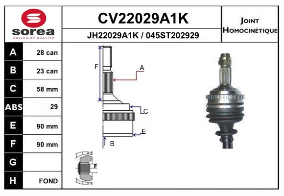 CV22029A1K