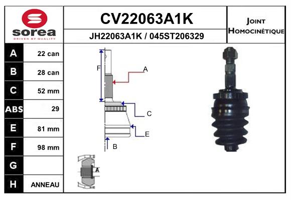 CV22063A1K