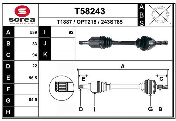 T58243