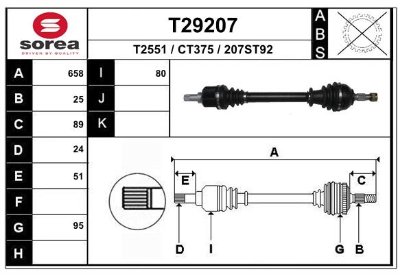 T29207