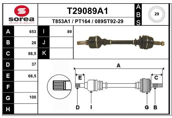 T29089A1