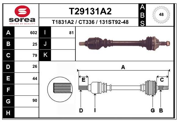T29131