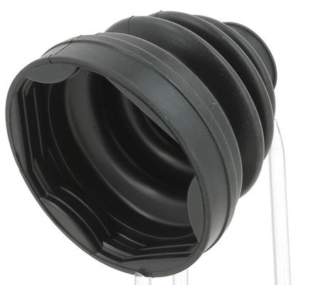 1564