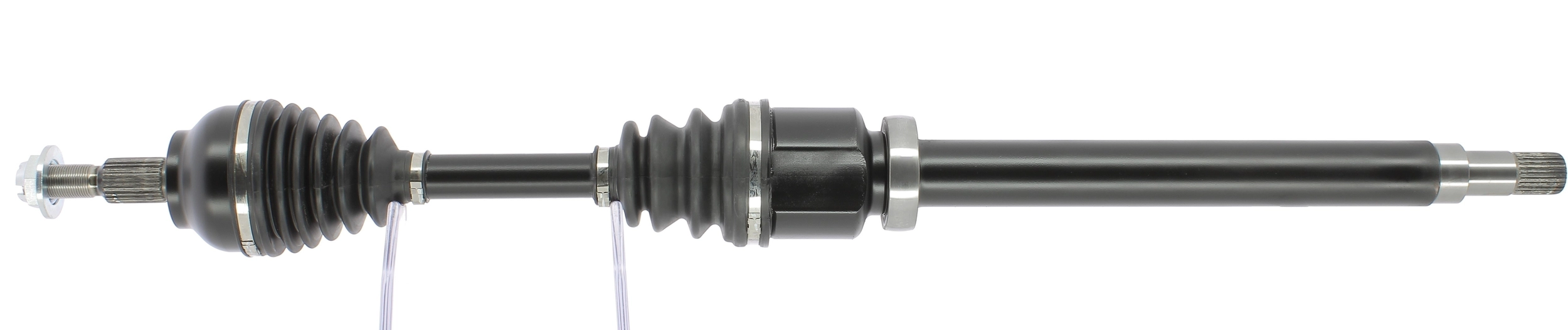 OL50816