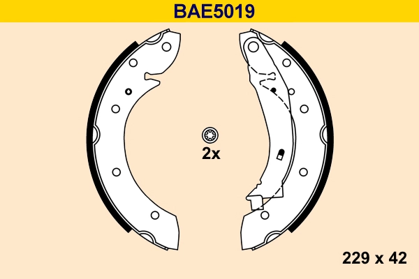 BAE5019
