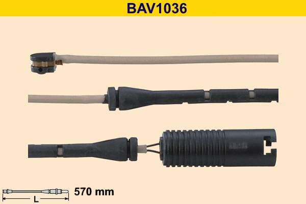BAV1036