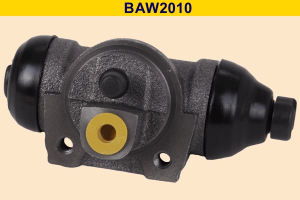 BAW2010