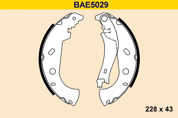 BAE5029