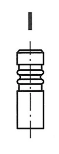 V0040502