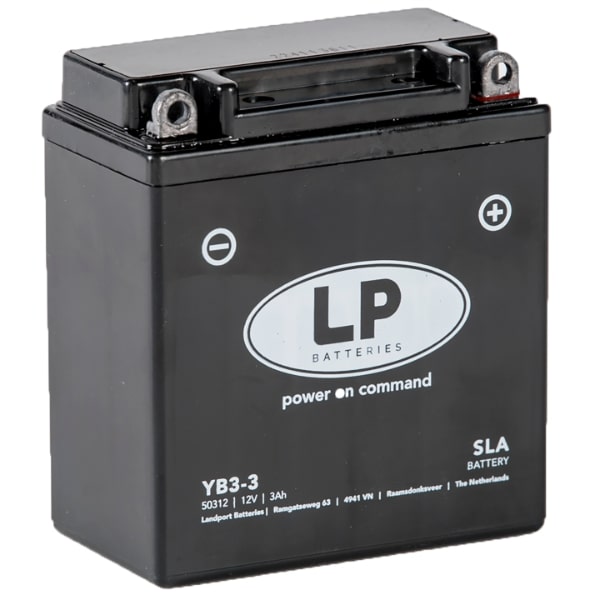 MS LB3-3
