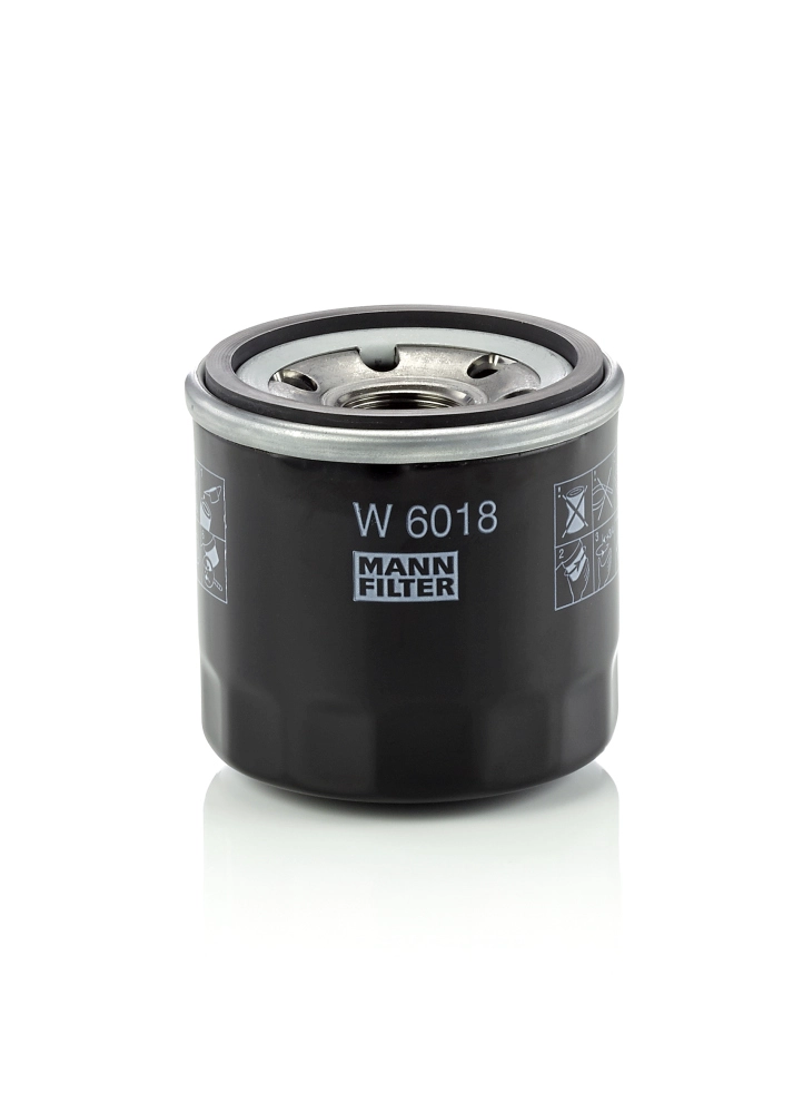 W 6018