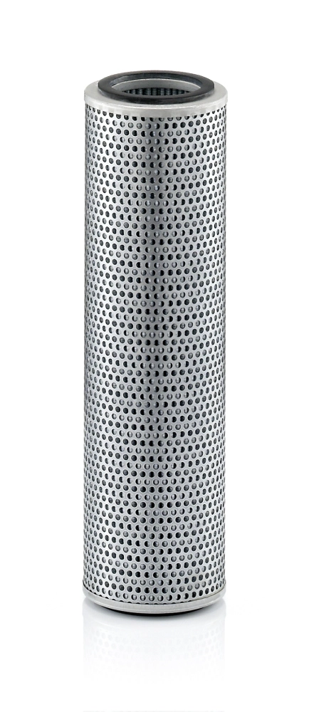 00601203P