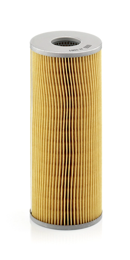 H1081