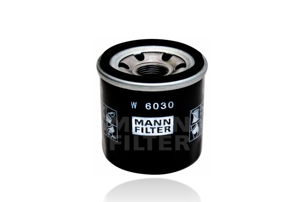 W 6030