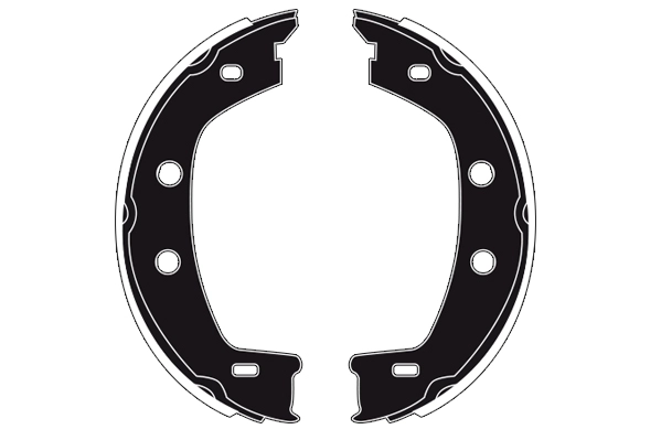 RA30100