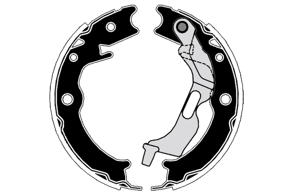 RA29970