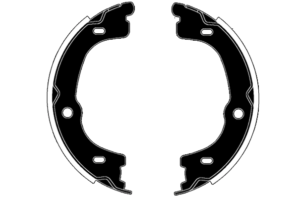 RA30310
