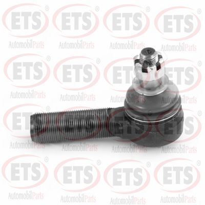 15.TR.555
