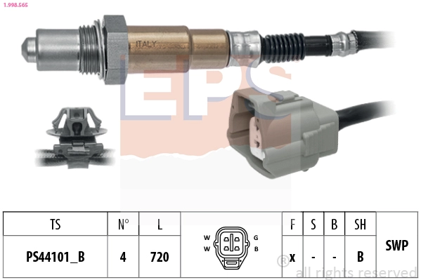 PE121886Z