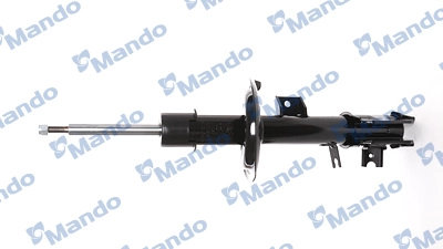 MSS016172