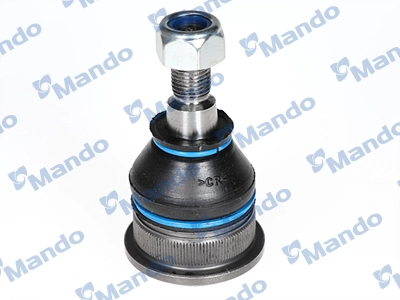 MSA025162
